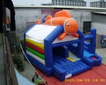 Clownvisje multi