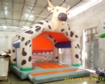 Vache 3
