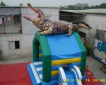 Crocodil tobo